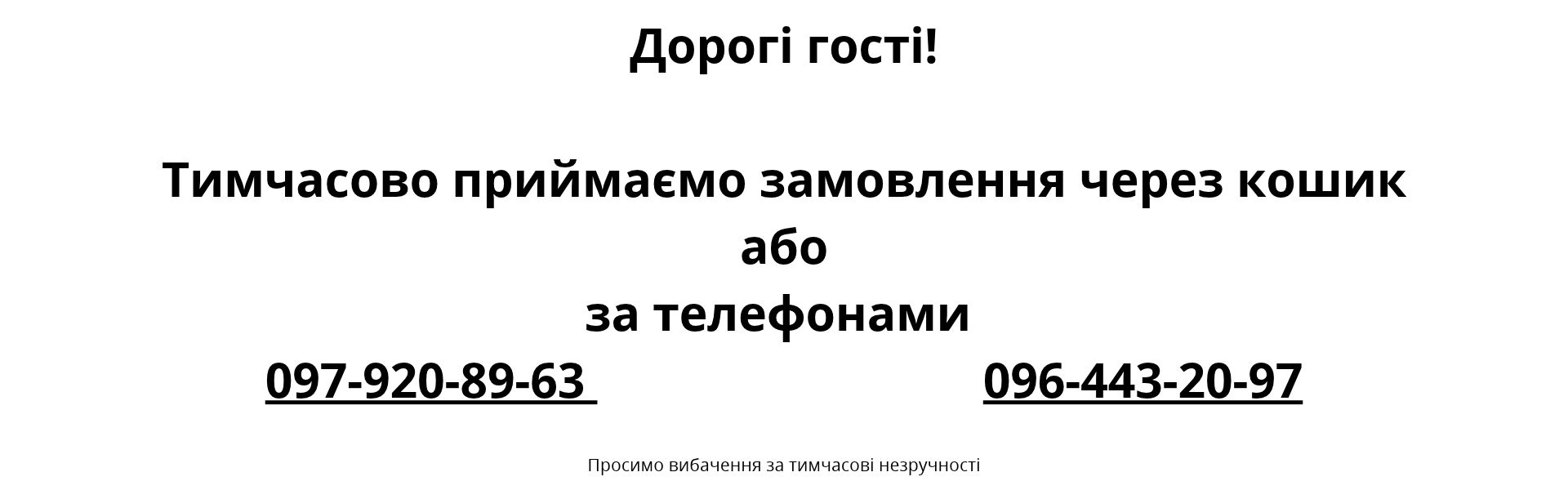 Фото - Технічні неполадки - Пиццбург